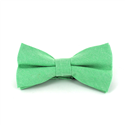 Papillon liscio verde Oxford