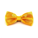 Papillon in Satin Giallo Solido