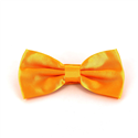 Papillon in Satin Ambra Liscio