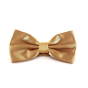 Papillon liscio in raso color champagne