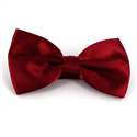 Papillon in raso bordeaux liscio