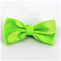 Papillon in Satin Verde Liscio