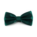 Papillon in Satin Verde Scuro