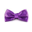 Papillon in raso liscio viola
