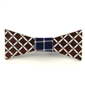 Papillon in Legno Dipinto