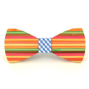 Papillon in Legno Dipinto
