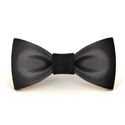 Papillon in Legno Dipinto