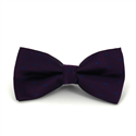 Papillon Viola a Pois Blu
