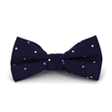 Papillon Viola a Pois Quadrati