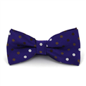 Papillon Viola a Pois Multicolor