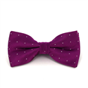 Papillon Viola a Pois Luminosi
