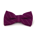 Papillon Viola a Righe Bianche