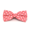 Papillon Arancione a Pois Bianchi
