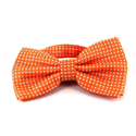 Papillon Arancione a Pois Bianchi