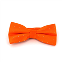 Papillon Arancione a Pois Luminosi