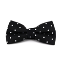 Papillon nero a pois bianchi