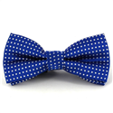 Papillon Bambini Blu a Pois
