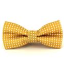 Papillon Bambini Champagne a Pois