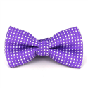 Papillon Bambini Viola a Pois