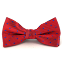 Papillon Bambini Rosso a Pois