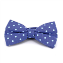 Papillon Oxford a Pois Blu