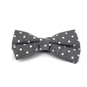 Papillon Oxford a pois grigio