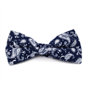 Papillon Paisley Blu e Bianco