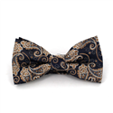 Papillon Paisley Blu e Oro