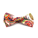 Papillon Paisley Bianco