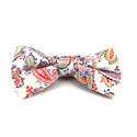 Papillon Paisley Bianco
