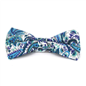Papillon Paisley Bianco e Blu