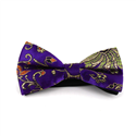 Papillon Paisley Lucido Viola