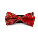 Papillon Paisley Lucido Rosso