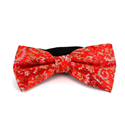 Papillon Paisley Lucido Rosso