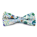 Papillon Paisley Celeste e Verde