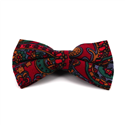Papillon Paisley Granata