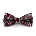 Papillon Paisley Nero, Granata e Argento