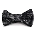 Papillon Paisley Nero e Argento