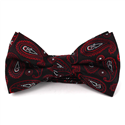 Papillon Paisley Nero e Rosso