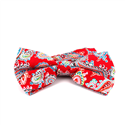 Papillon Paisley Rosso