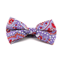 Papillon Paisley Viola