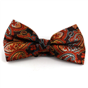 Papillon Paisley XL Arancione
