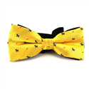 Papillon Cani Giallo