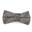 Papillon Principe di Galles Marrone