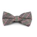 Papillon Principe di Galles Rosso