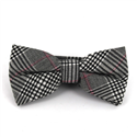Papillon Principe di Galles Rosa