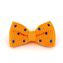 Papillon a pois gialli con pois blu