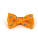 Papillon a pois gialli e celesti
