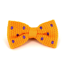 Papillon a pois gialli con pois viola