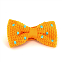 Papillon a pois gialli a pois turchese